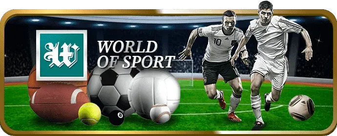 Trận đấu đá gà trực tiếp trên Win99 APK